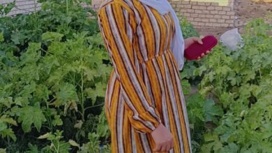 سمر عبود السقطي